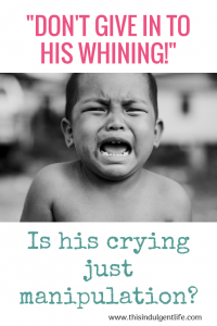 Don't Give in to His Whining | This Indulgent Life | baby crying | baby crying as manipulation | Gentle Parenting | positive parenting | crying as communication | How babies communicate | baby led weaning | Baby signs 