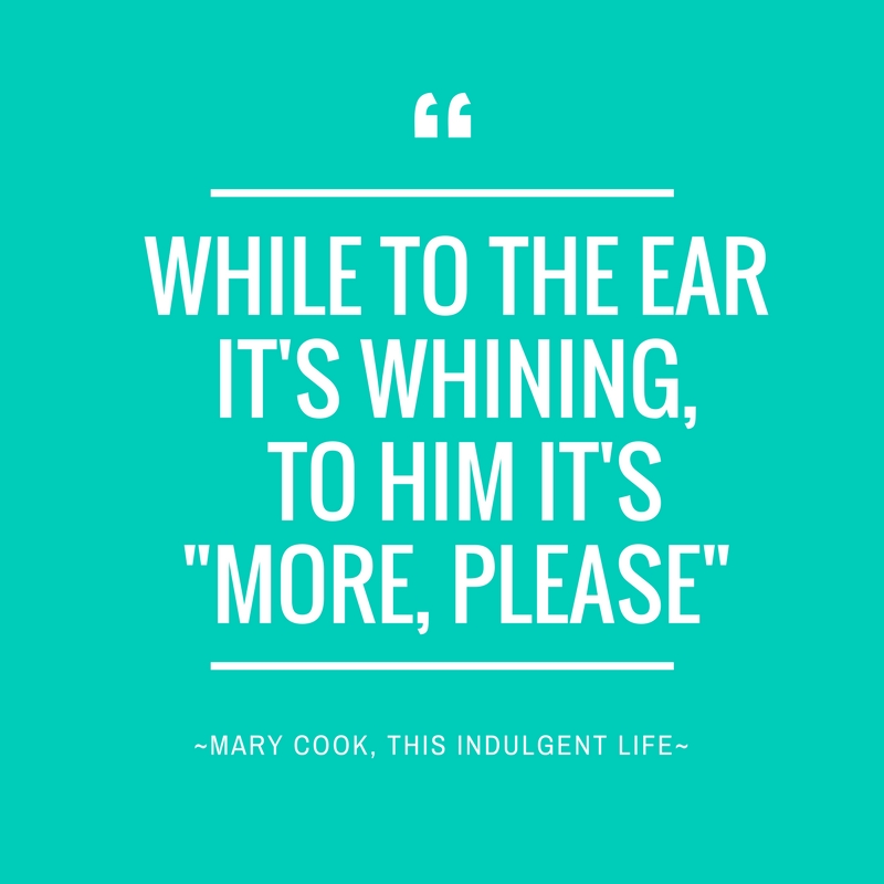 Don't Give in to His Whining | This Indulgent Life | baby crying | baby crying as manipulation | Gentle Parenting | positive parenting | crying as communication | How babies communicate | baby led weaning | Baby signs