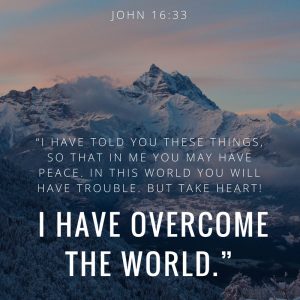 I'm Struggling | This Indulgent Life | Life Struggles | expat struggles | Hong Kong | life issues | financials | Bible verse- I have overcome the world
