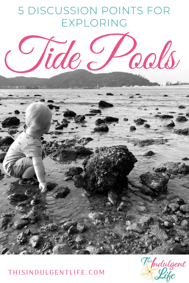 5 Discussion Points for Exploring Tide Pools | This Indulgent Life | Will you be exploring the coast and some tide pools soon? Read these tips for encouraging discussion with your kids. | #criticalthinking #tidepools #oceanlife #homeschooling #unschooling #roadschooling #sealife #learning