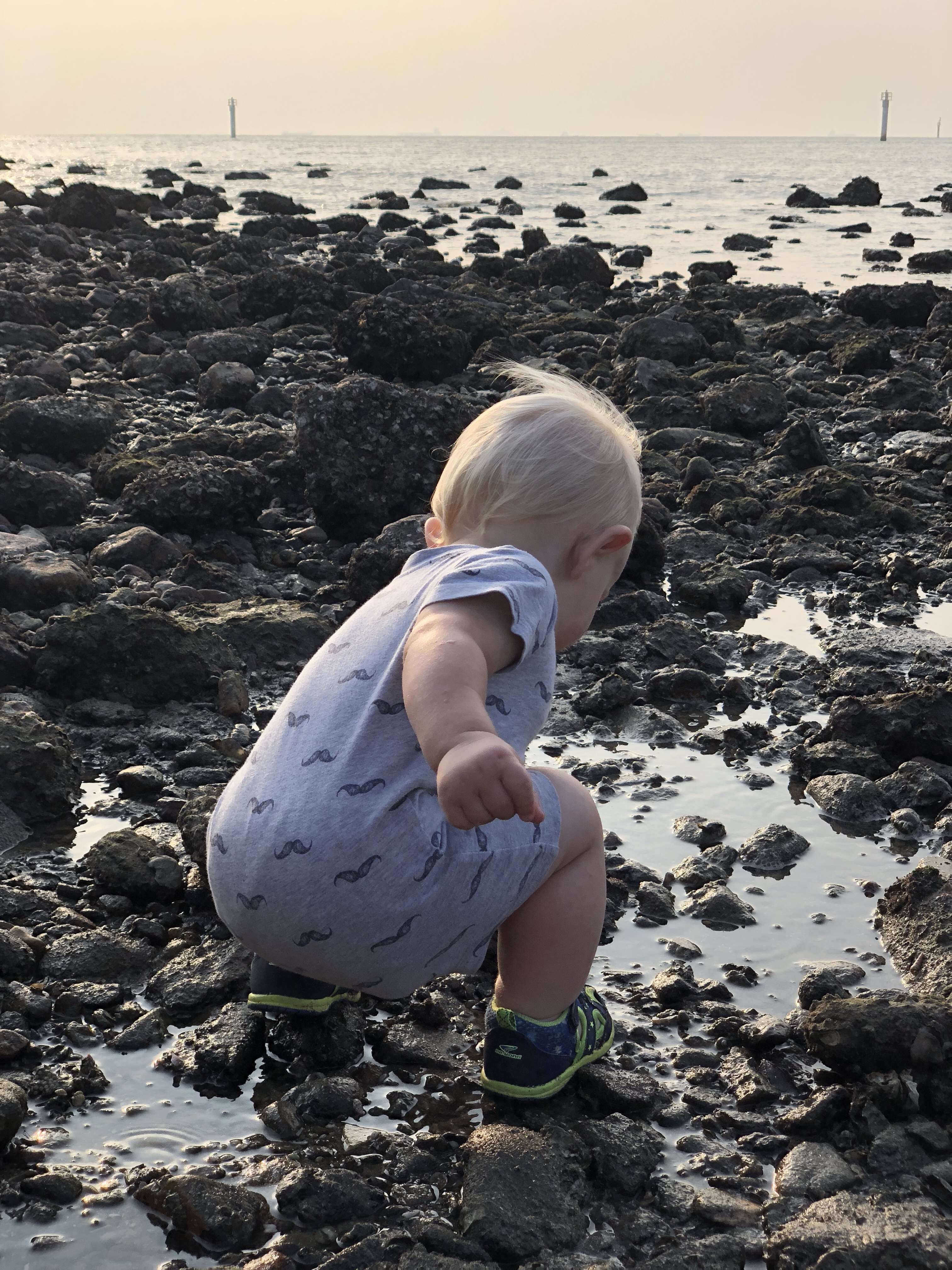 sunset beach at low tide | questions to ask yourself when studying tide pools | tide pools | Hong Kong | children science | teaching resources | Homeschooling | Unschooling | sealife science lessons | This Indulgent Life