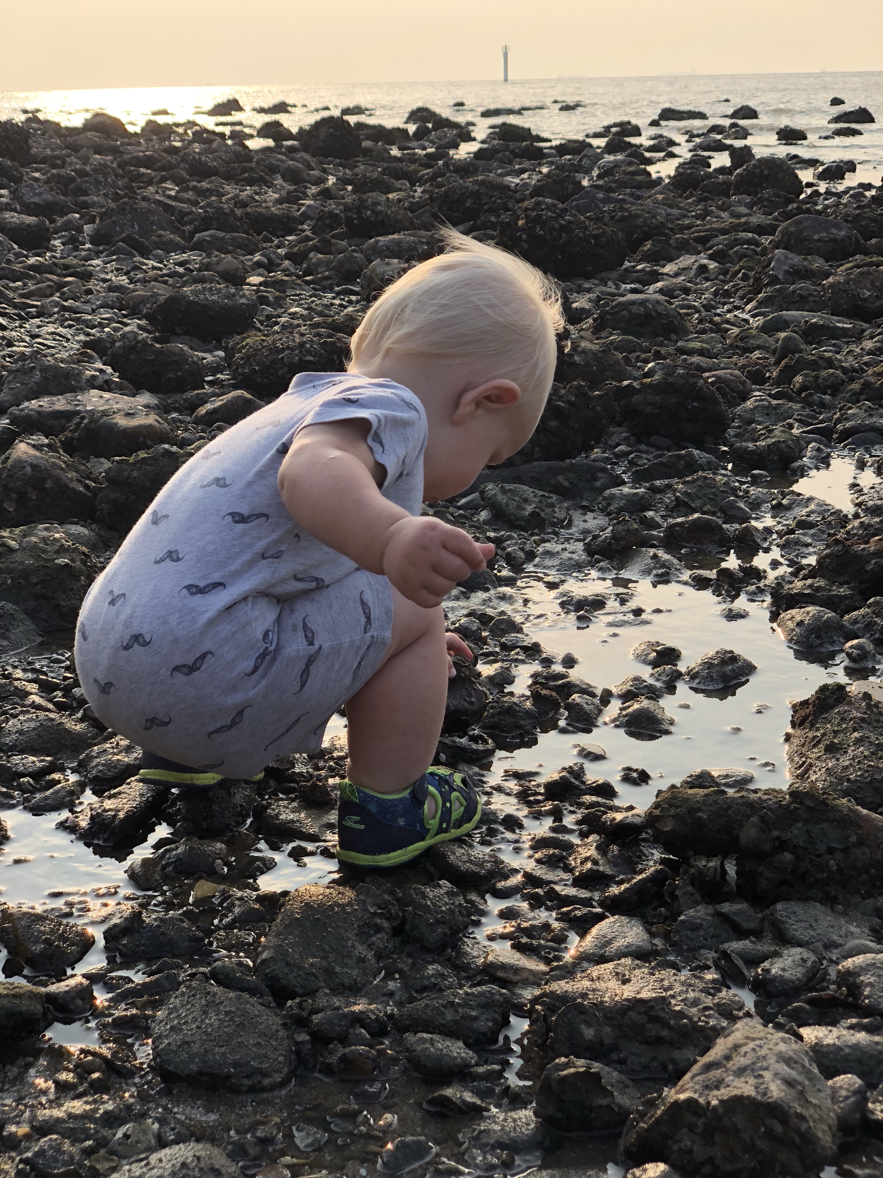 questions to ask yourself when studying tide pools | tide pools | Hong Kong | children science | teaching resources | Homeschooling | Unschooling | sealife science lessons | This Indulgent Life