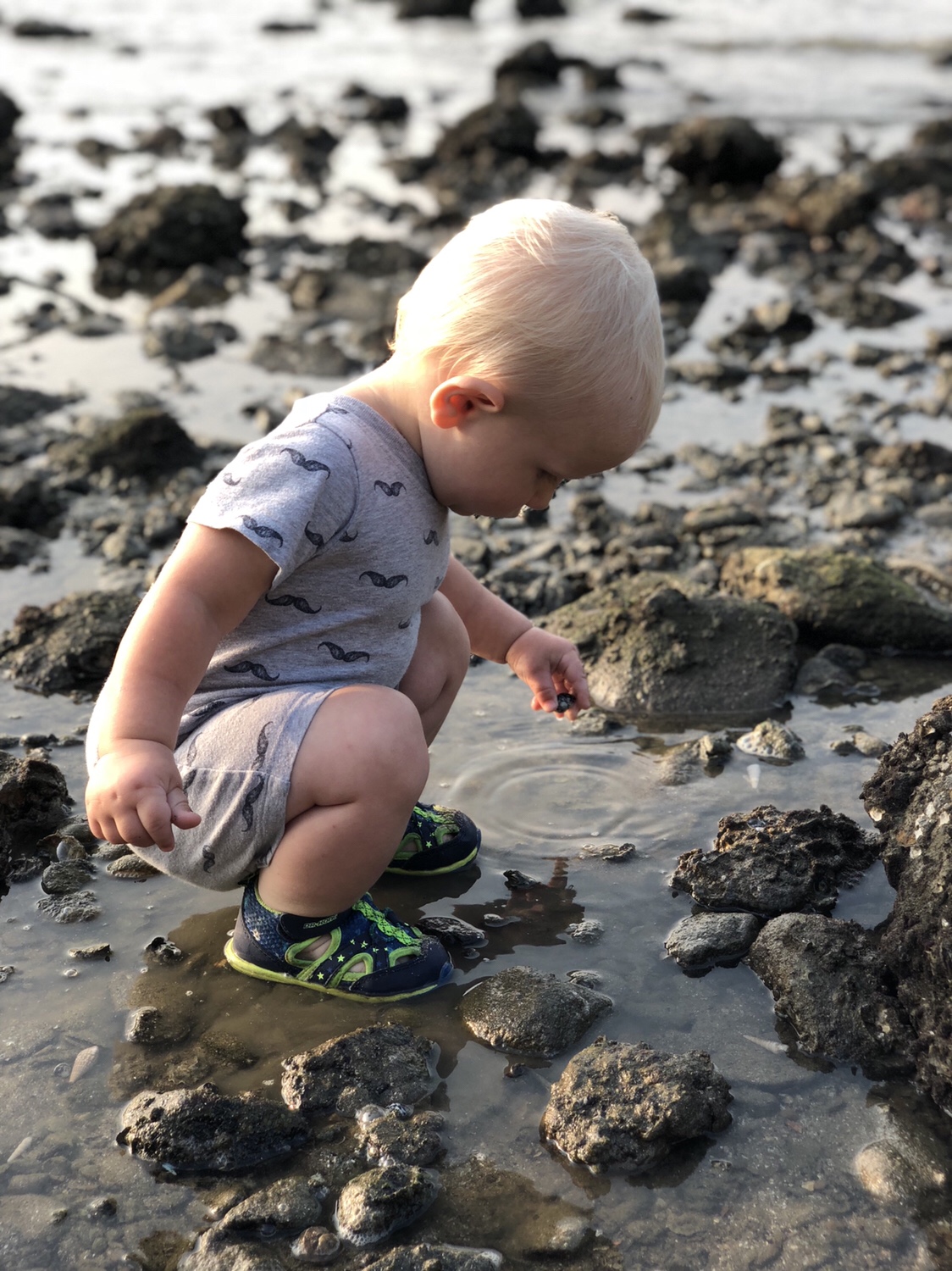 toddler explores tide pools | questions to ask yourself when studying tide pools | tide pools | Hong Kong | children science | teaching resources | Homeschooling | Unschooling | sealife science lessons | This Indulgent Life