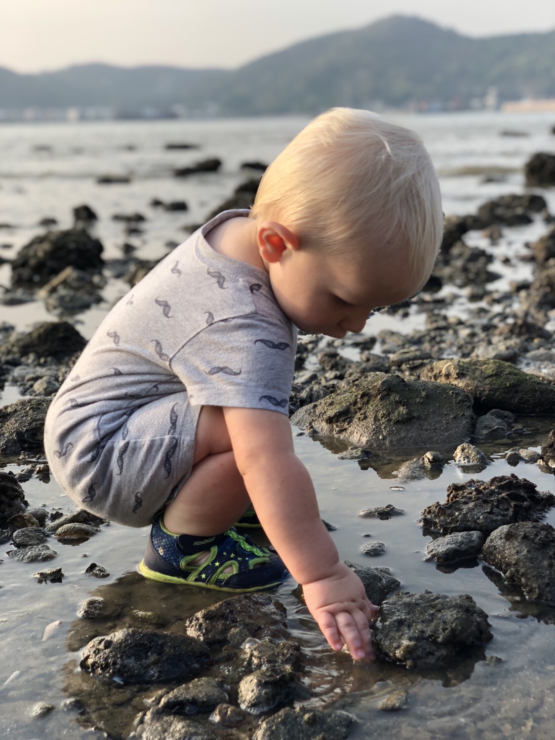 child explores the beach | questions to ask yourself when studying tide pools | tide pools | Hong Kong | children science | teaching resources | Homeschooling | Unschooling | sealife science lessons | This Indulgent Life