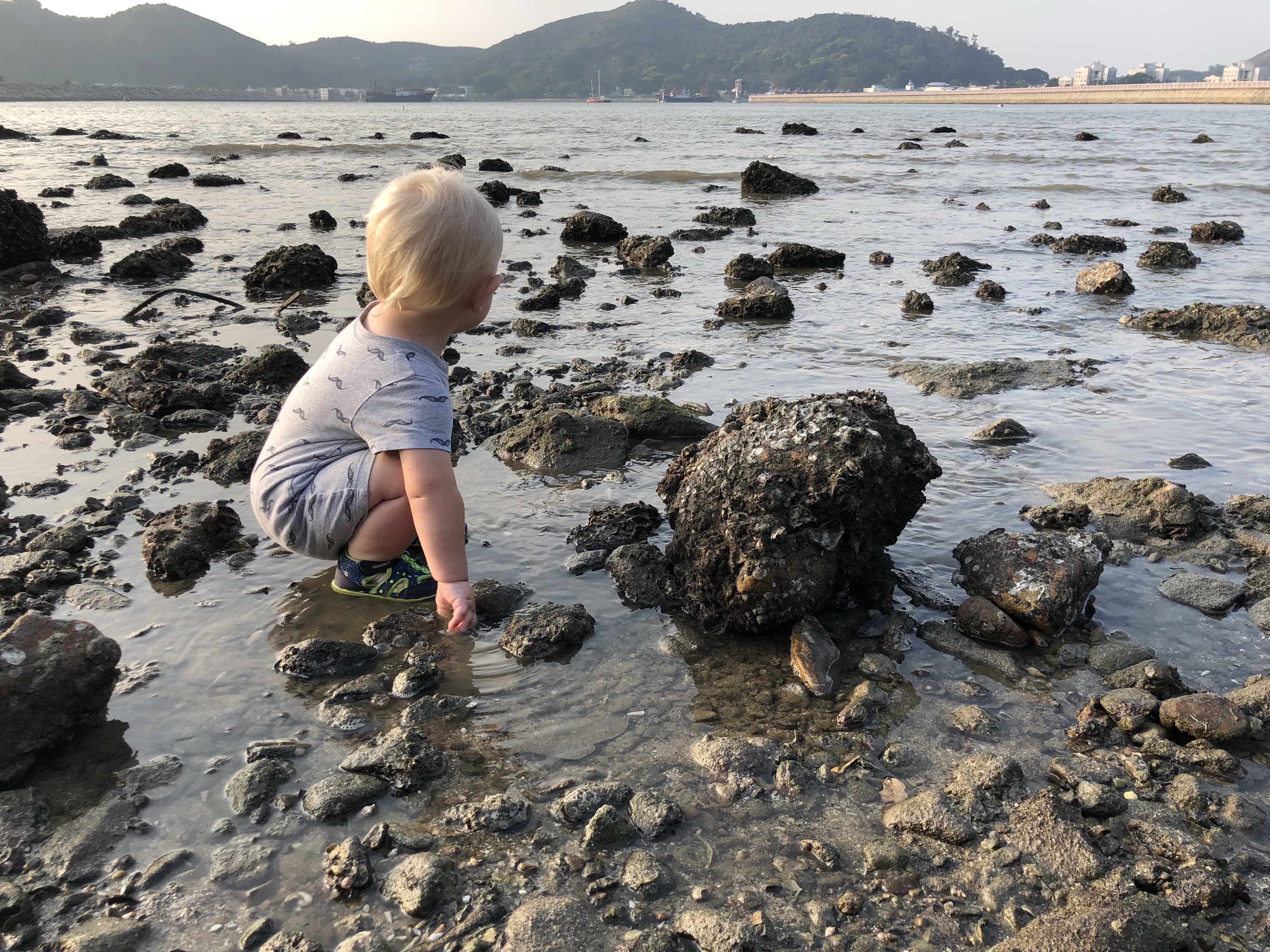 baby explores tide pools | questions to ask yourself when studying tide pools | tide pools | Hong Kong | children science | teaching resources | Homeschooling | Unschooling | sealife science lessons | This Indulgent Life