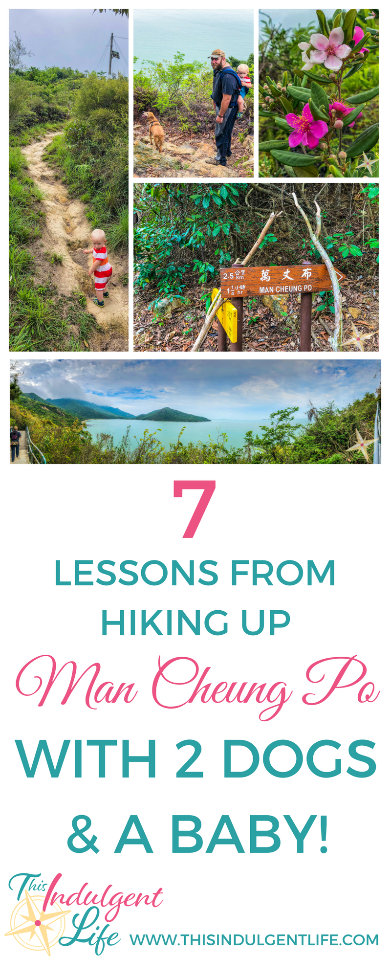 7 lessons from hiking up man cheung po with 2 dogs and a baby| This Indulgent Life | Live this adventurous life by hiking with your family. Explore these 7 tips we learned as beginner hikers with 2 dogs and a baby. | #hikingwithkids #hikingforbeginners #naturelovers #hikingtips #mancheungpo #hongkonghikes #hikingwithchildren #hikingtrails #hikinggear #hikingvideo #hikingwithdogs #familiybloggers #familyvlogs #familyadventures #getoutside