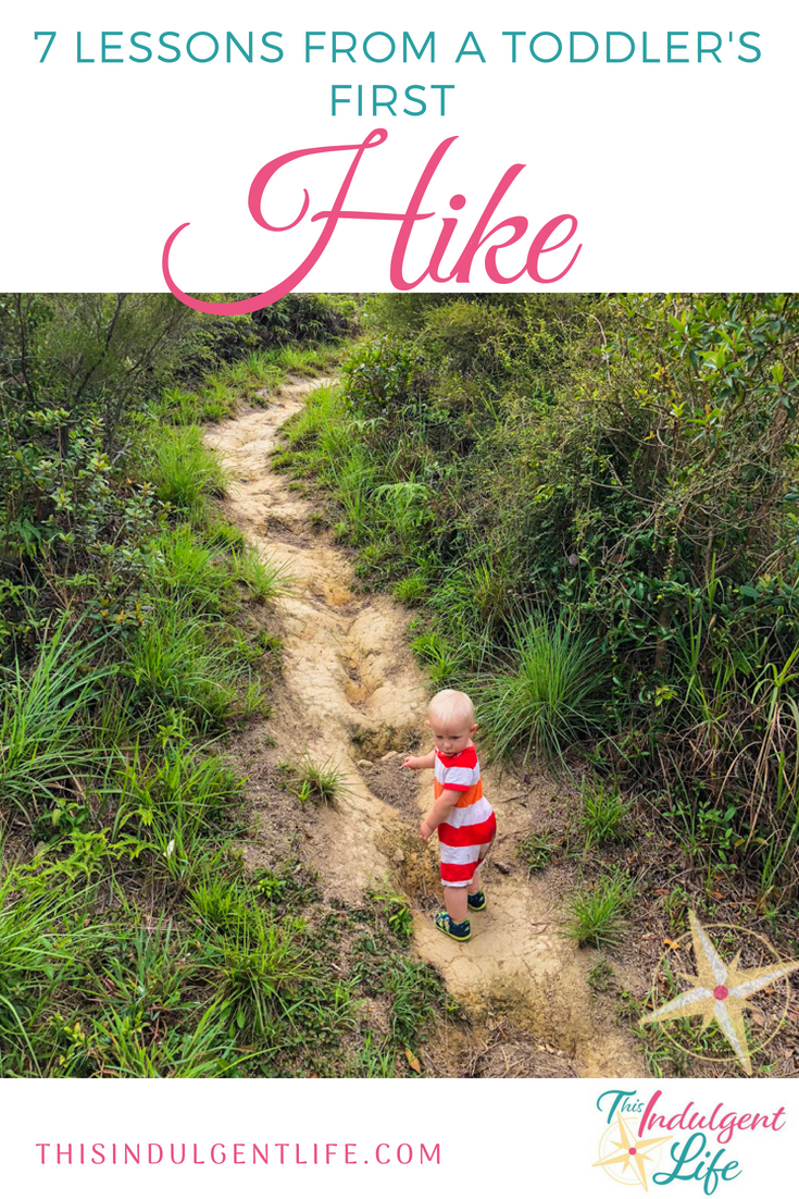 7 lessons from toddlers first hike | This Indulgent Life | See our 7 lessons we learned on our first hike with our toddler. From enjoying the journey to bringing more water, these tips will help you prepare for your own family adventure. | #hikingwithkids #hikingforbeginners #naturelovers #hikingtips #mancheungpo #hongkonghikes #hikingwithchildren #hikingtrails #hikinggear #hikingvideo #hikingwithdogs #familiybloggers #familyvlogs #familyadventures #getoutside