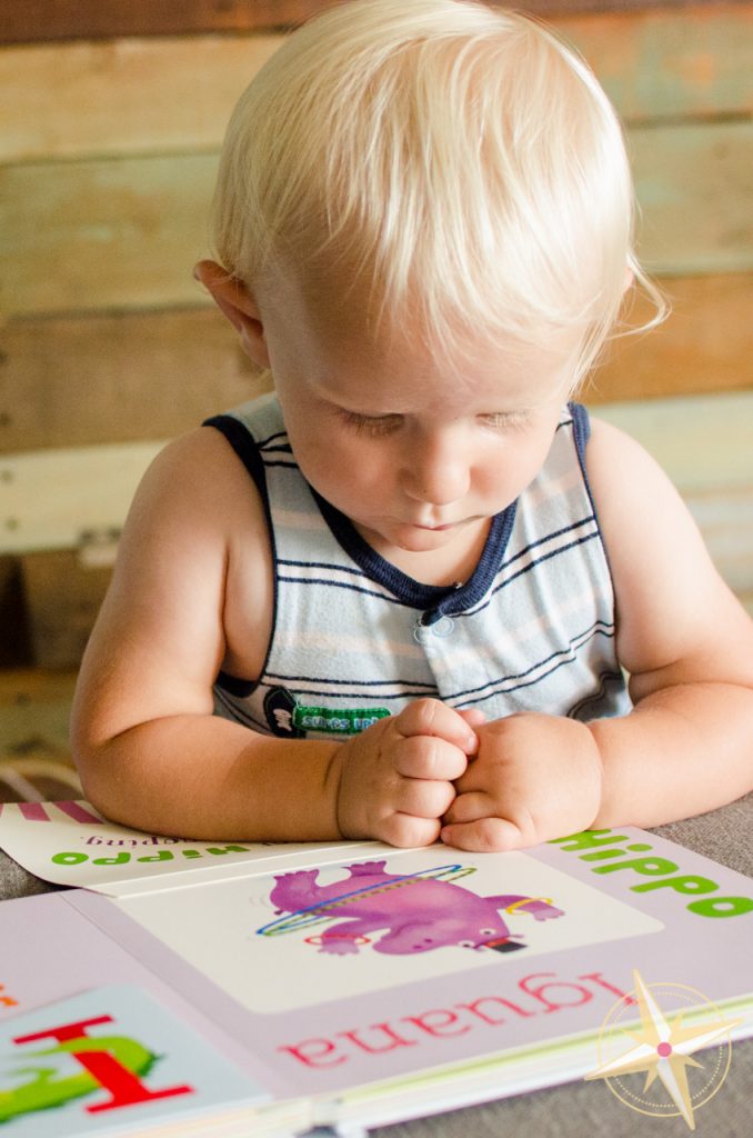 peekaboo a to z with toddler