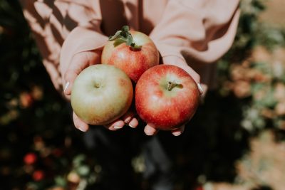 Apple picking traditions