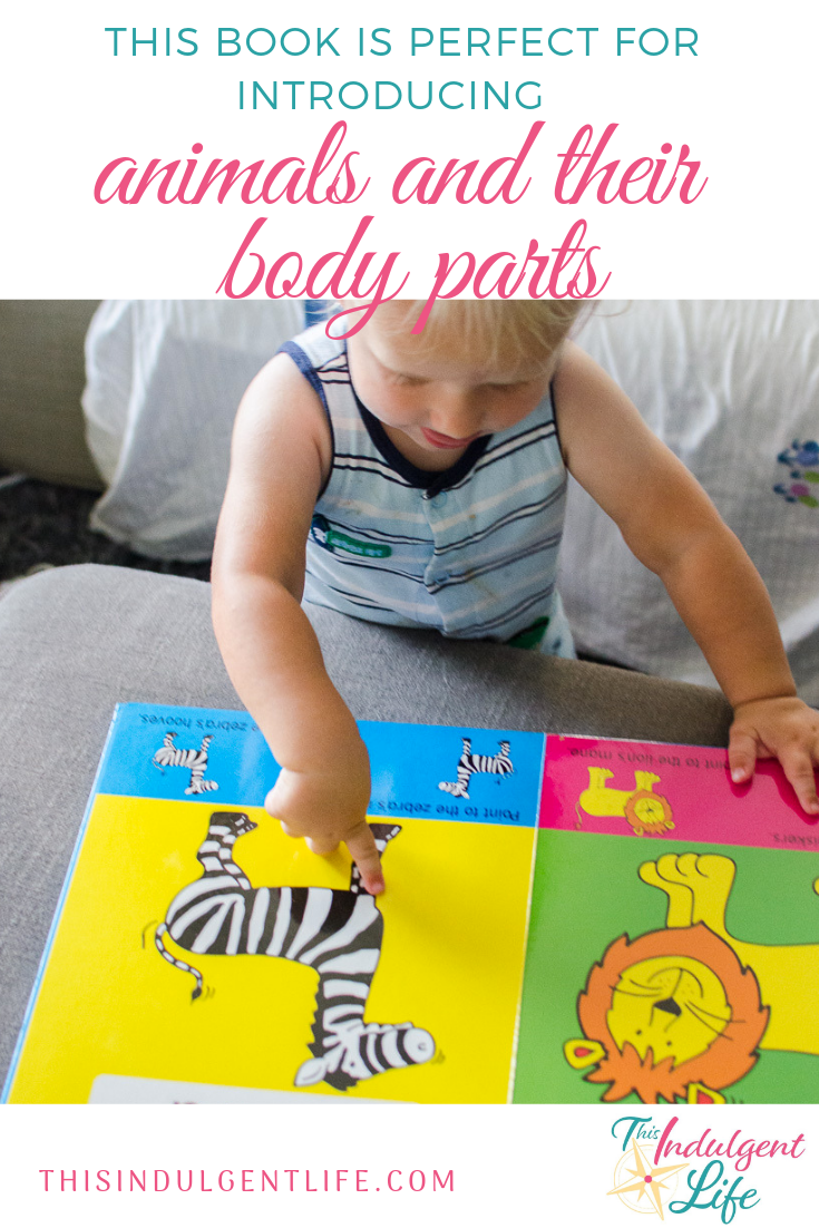 This Book is Perfect for Introducing Animals and Their Body Parts | This Indulgent Life | Baby's First Animal Book is a brightly colored book that introduces many common animals and then gets the toddler to interact by pointing to various body parts. | #vocabularyfortoddlers #earlyreaders #animalbooks #booksfortoddlers #booksforbabies #interactivebooks 