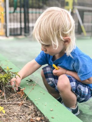 Observe the world with your child